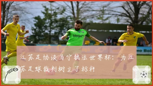 江苏足协谈马宁执法世界杯：为江苏足球裁判树立了标杆