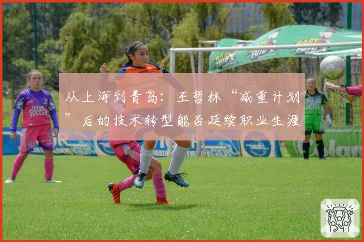 从上海到青岛：王哲林“减重计划”后的技术转型能否延续职业生涯黄金期